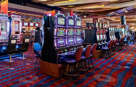 dewacasino|vee quiva casino.